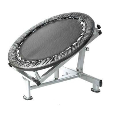 Xtreme Monkey Medicine Ball Rebounder for Abs, Core & Cross Fit Training