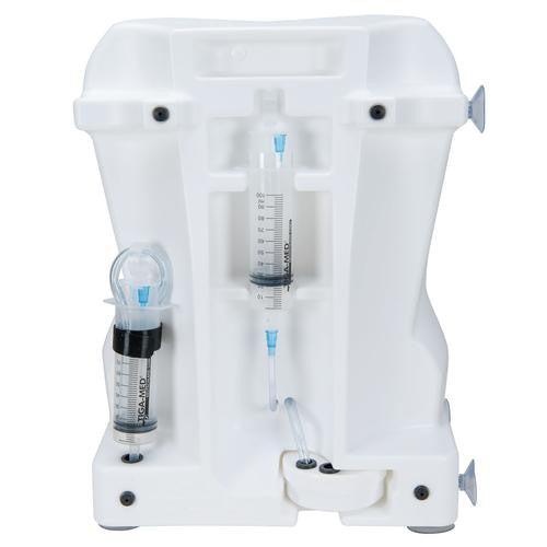 3B Scientific Epidural and Spinal Injection Trainer