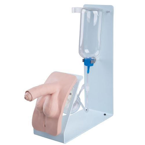 Image of 3B Scientific Catheterization Simulator BASIC, male