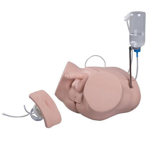 Image of 3B Scientific Catheterization Simulator Set PRO