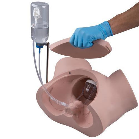 Image of 3B Scientific Catheterization Simulator Set PRO