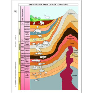 3B Scientific Origin and Evolution of Liefe, Part II - English