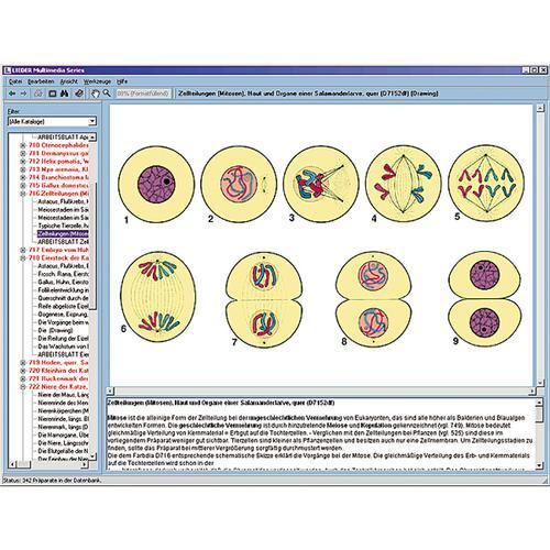 3B Scientific CD with micro images for school series A