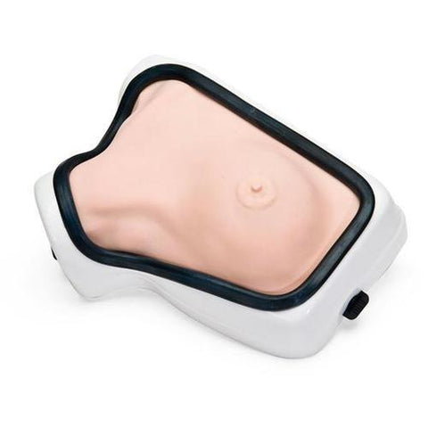 Image of 3B Scientific Clinical Breast Trainer