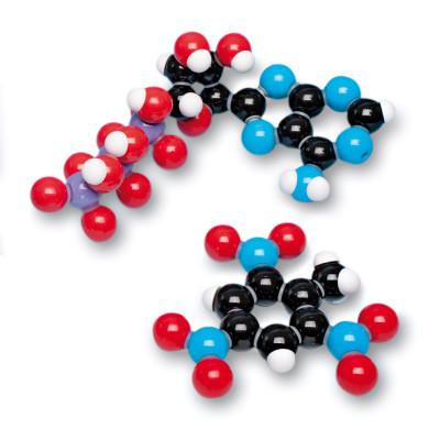 3B Scientific Biochemistry (Teacher) Set - Compact Models