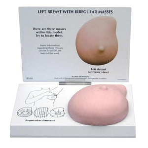 3B Scientific Left Breast Model with Irregular Masses