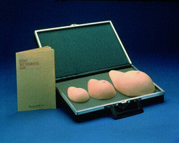 3B Scientific Set of Breast Self Examination Models