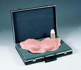 3B Scientific Breast Examination Model