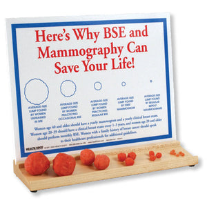 3B Scientific Interactive Breast Lump Display