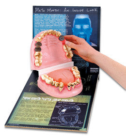 3B Scientific Meth Mouth: An Inside Look