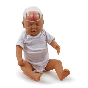 3B Scientific Shaken Baby Demonstration Model