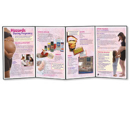 3B Scientific Hazards During Pregnancy Folding Display