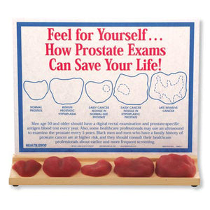 3B Scientific Feel For Yourself... How Prostate Exams Can Save Your Life! Display