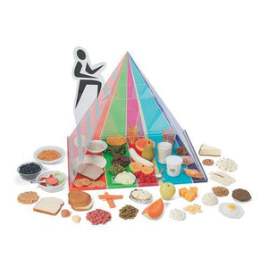 3B Scientific 3-D Pyramid with Life/form® Great Food Kit & Carrying Case