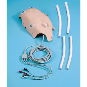 3B Scientific ECG/Umbilical Cannulation Skin