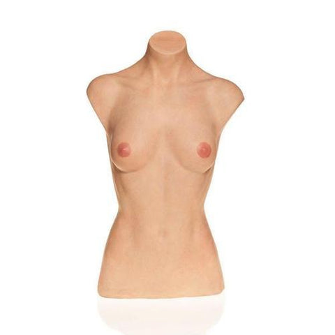 Image of 3B Scientific Breast-Torso Model