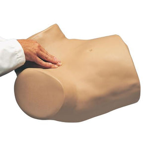 3B Scientific GYN/AID® Gynecologic Simulator