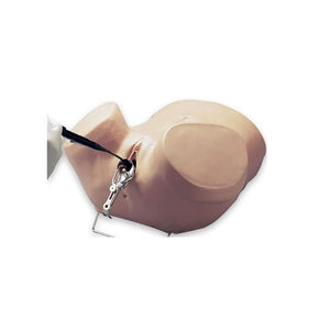 3B Scientific Hysteroscopy Simulator