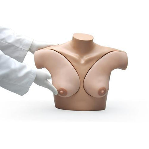 Image of 3B Scientific Breast Self Examination Simulator