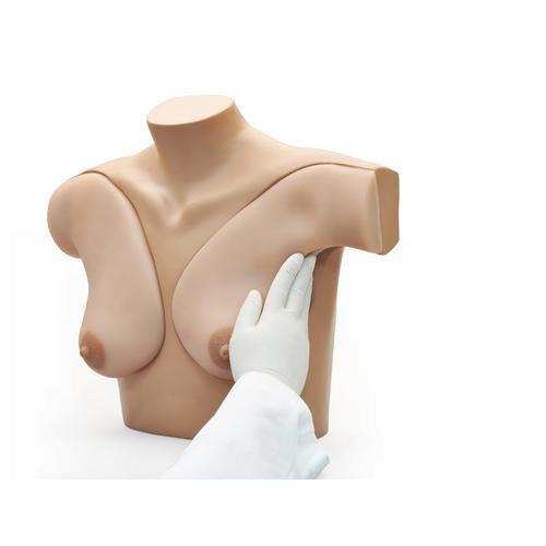 3B Scientific Breast Self Examination Simulator