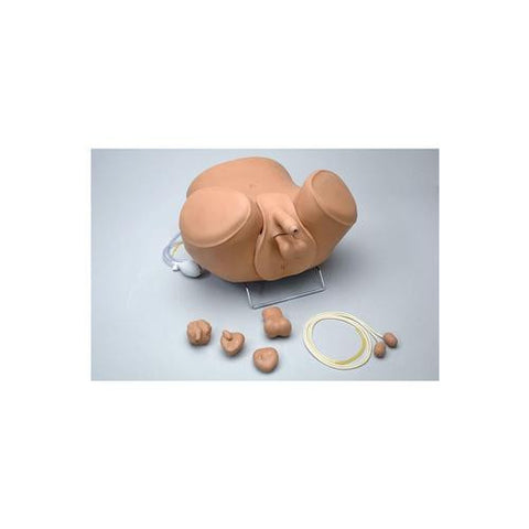 Image of 3B Scientific ZACK Multipurpose Male Care Simulator