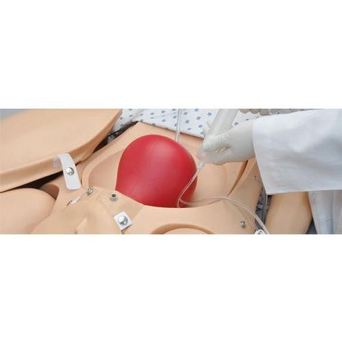 Image of 3B Scientific Noelle® Birthing Simulator with birthing and resuscitation baby