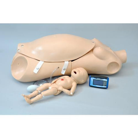 Image of 3B Scientific Noelle® Birthing Torso with birthing baby