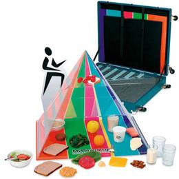 3B Scientific 3-D Pyramid with 2005 Food Guidelines Kit & Carrying Case