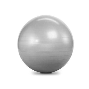 Element Fitness Commercial 55cm Anti-Burst Ball