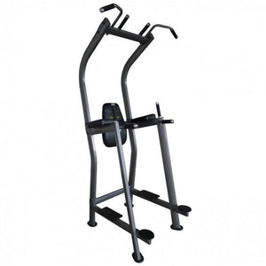 Element Fitness Vertical Knee Raise 870VKR