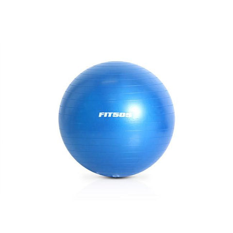 Image of FIT505 65cm Anti Burst Ball