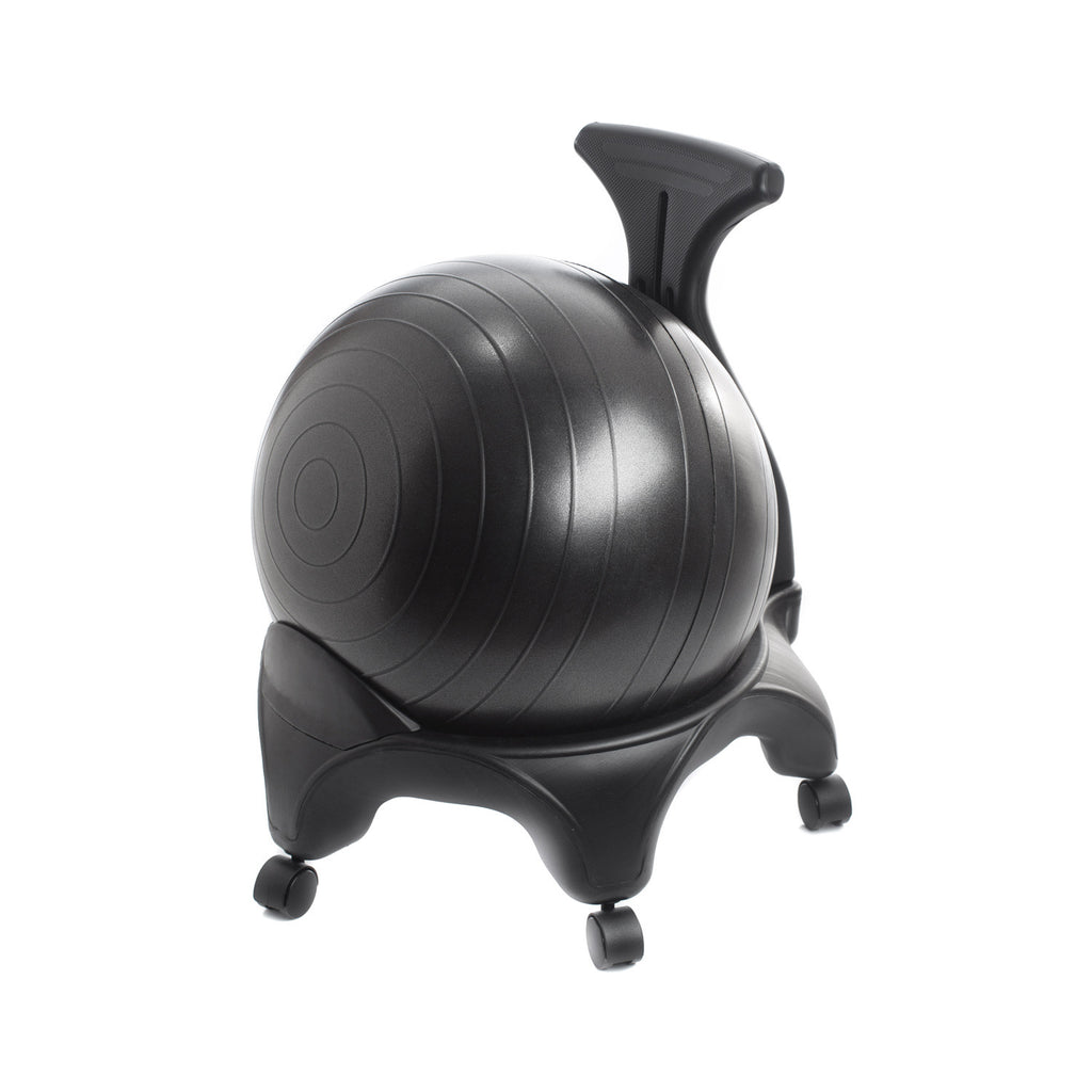 Aeromat Stability Ball Chair