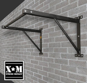 XM Wall-Mounted Chin-Up Bar