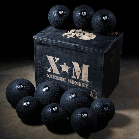 Image of XM Pro Slam Balls 25lbs